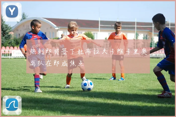 热刺即将签下杜布拉夫卡维卡里奥离队在即成焦点