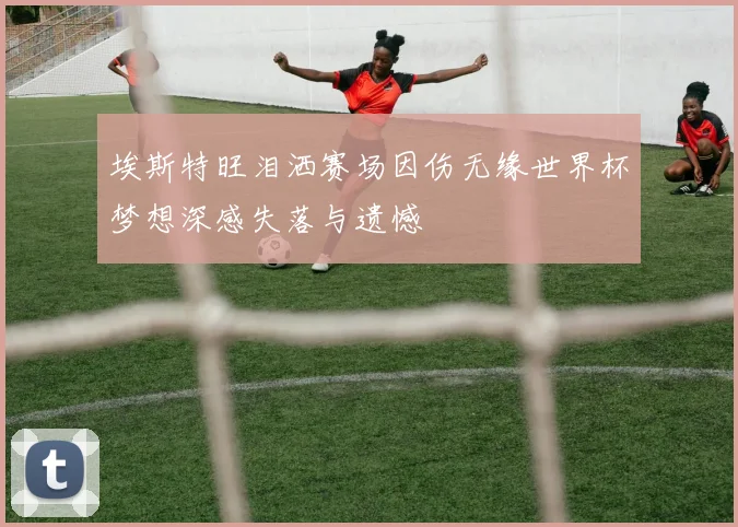 埃斯特旺泪洒赛场因伤无缘世界杯梦想深感失落与遗憾